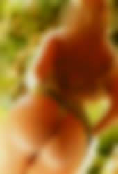 Joyce - Jardim Tropical, Campo Largo